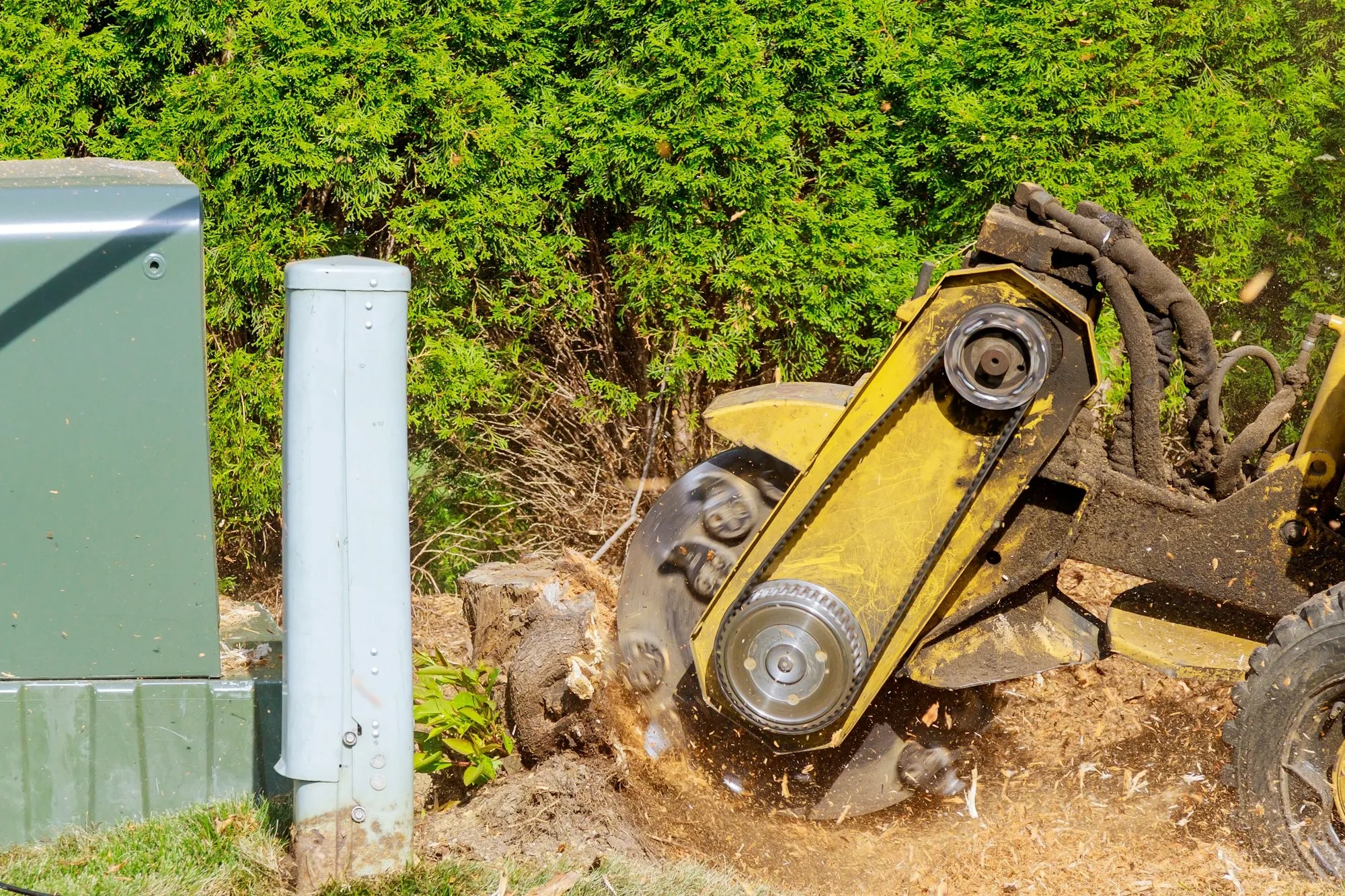 Stump grinding service for McNairy County properties