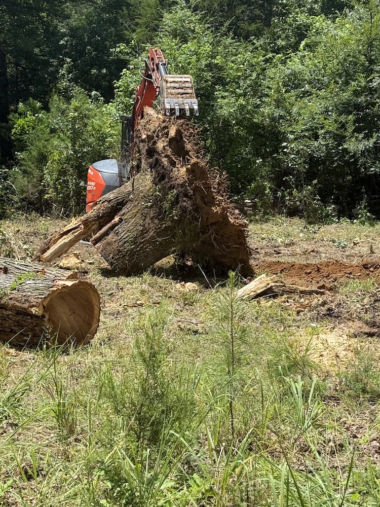 Full stump removal excavation in Selmer TN